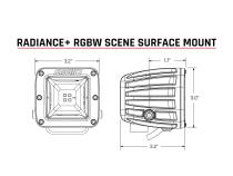 Radiance Plus Scene RGBW Surface Mount Pair RIGID Industries